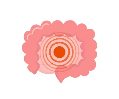 ilustração de uma barriga com um círculo dentro